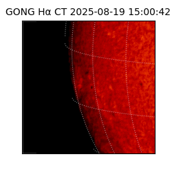 gong - 2025-08-19T15:00:42