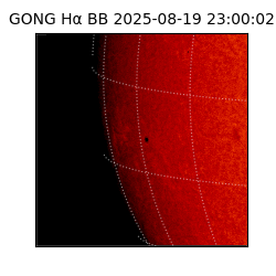 gong - 2025-08-19T23:00:02