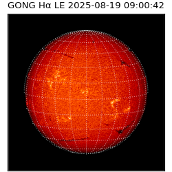 gong - 2025-08-19T09:00:42