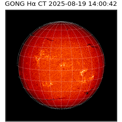 gong - 2025-08-19T14:00:42