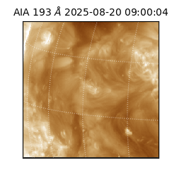 saia - 2025-08-20T09:00:04.847000