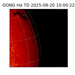 gong - 2025-08-20T10:00:22