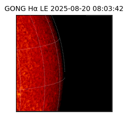 gong - 2025-08-20T08:03:42