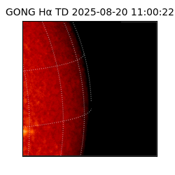 gong - 2025-08-20T11:00:22