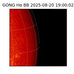 gong - 2025-08-20T19:00:02
