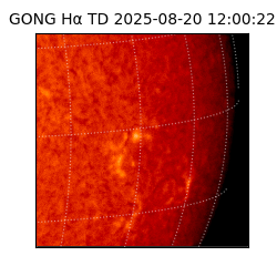 gong - 2025-08-20T12:00:22