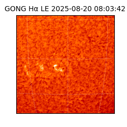 gong - 2025-08-20T08:03:42