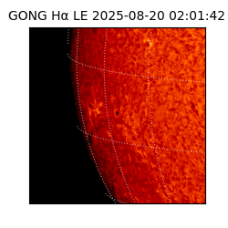gong - 2025-08-20T02:01:42