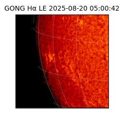 gong - 2025-08-20T05:00:42