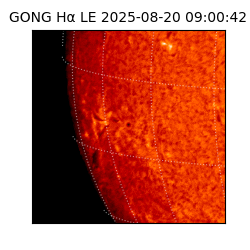 gong - 2025-08-20T09:00:42