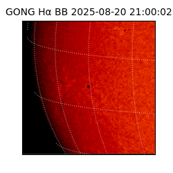 gong - 2025-08-20T21:00:02
