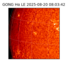 gong - 2025-08-20T08:03:42