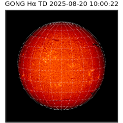 gong - 2025-08-20T10:00:22