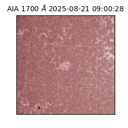 saia - 2025-08-21T09:00:28.717000