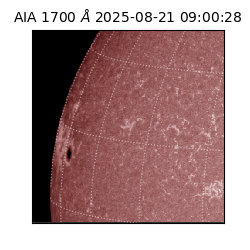 saia - 2025-08-21T09:00:28.717000