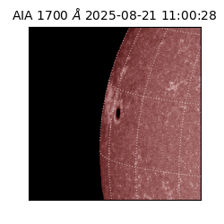saia - 2025-08-21T11:00:28.717000