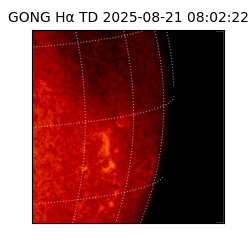 gong - 2025-08-21T08:02:22