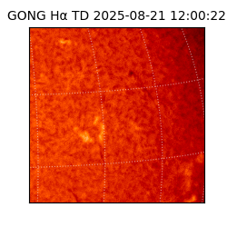 gong - 2025-08-21T12:00:22