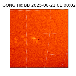 gong - 2025-08-21T01:00:02