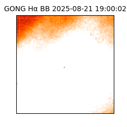 gong - 2025-08-21T19:00:02