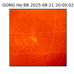 gong - 2025-08-21T20:00:02