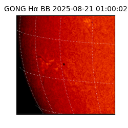 gong - 2025-08-21T01:00:02