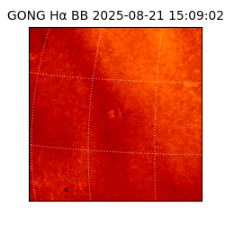 gong - 2025-08-21T15:09:02