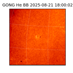 gong - 2025-08-21T18:00:02