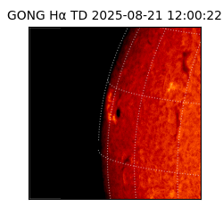 gong - 2025-08-21T12:00:22