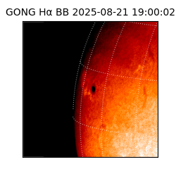 gong - 2025-08-21T19:00:02