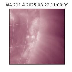 saia - 2025-08-22T11:00:09.630000
