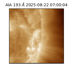 saia - 2025-08-22T07:00:04.843000