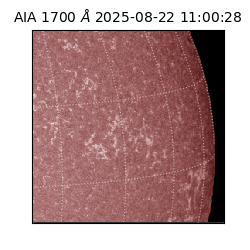 saia - 2025-08-22T11:00:28.717000