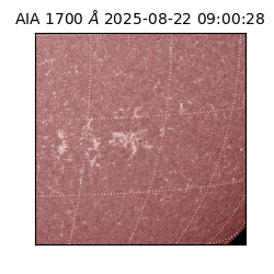 saia - 2025-08-22T09:00:28.718000