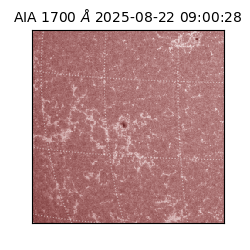 saia - 2025-08-22T09:00:28.718000