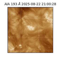 saia - 2025-08-22T21:00:28.843000