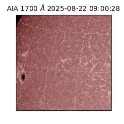 saia - 2025-08-22T09:00:28.718000