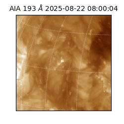 saia - 2025-08-22T08:00:04.843000
