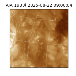 saia - 2025-08-22T09:00:04.843000