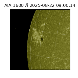 saia - 2025-08-22T09:00:14.130000