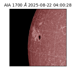 saia - 2025-08-22T04:00:28.717000