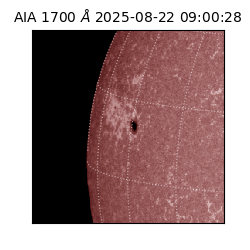 saia - 2025-08-22T09:00:28.718000