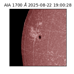 saia - 2025-08-22T19:00:28.733000