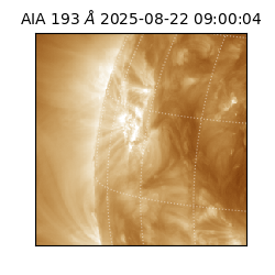 saia - 2025-08-22T09:00:04.843000
