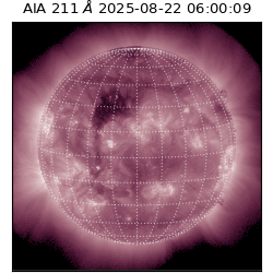 saia - 2025-08-22T06:00:09.634000