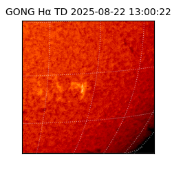 gong - 2025-08-22T13:00:22