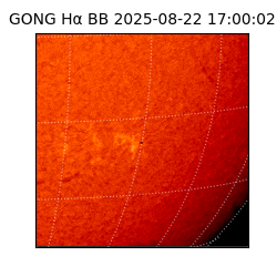 gong - 2025-08-22T17:00:02