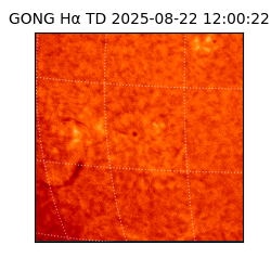 gong - 2025-08-22T12:00:22