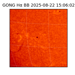 gong - 2025-08-22T15:06:02