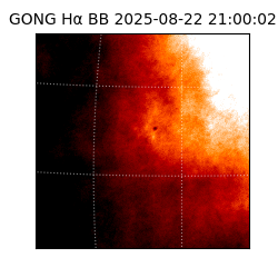 gong - 2025-08-22T21:00:02